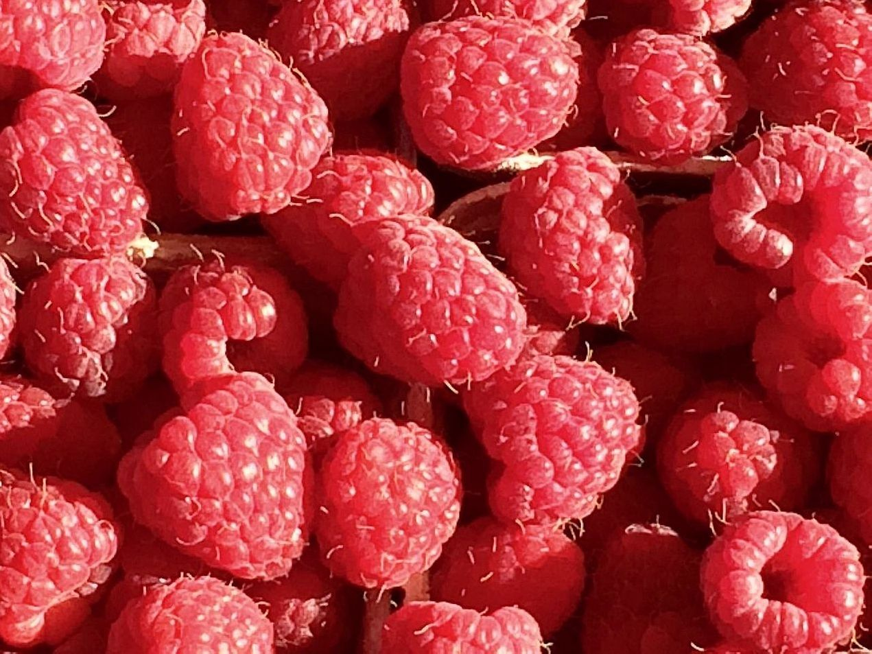 Vitaminas concentradas
